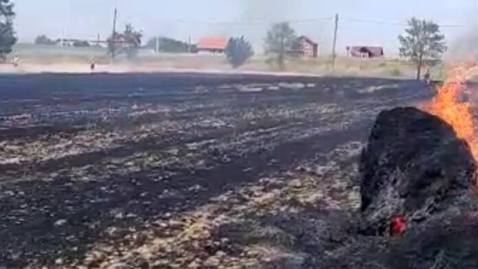 Incendiu puternic în localitatea Păuşa Ard circa 10 hectare de teren